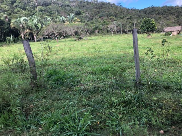 290 Hectares, Bom Jardim-MT, pecuária e lavoura, Oportunidade - Foto 3