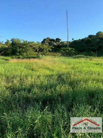 Ótima propriedade em Glória do Goitá, com 1,5 hectare - Foto 12