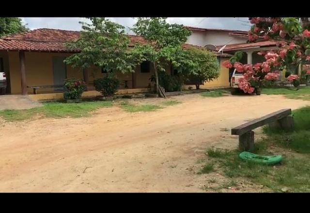 Vendo fazenda 300 alqueires (Margeando o Asfalto) - Foto 6