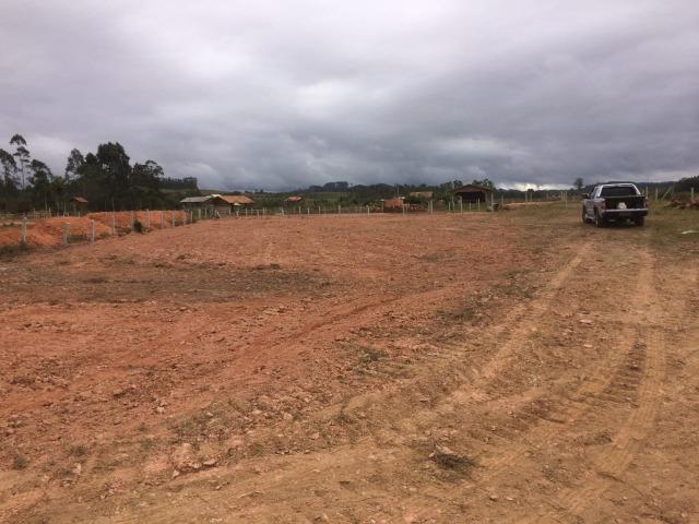 Terreno Plano Lindo Demais para Montar sua Chácara - Foto 3