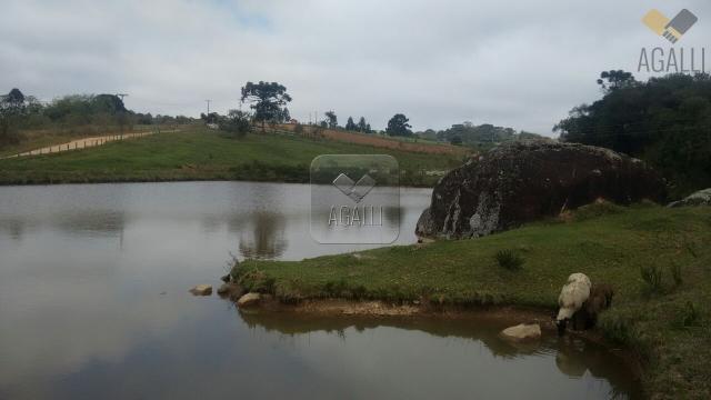 Chácara à venda com 4 dormitórios em Zona rural, Contenda cod:219-16 - Foto 2