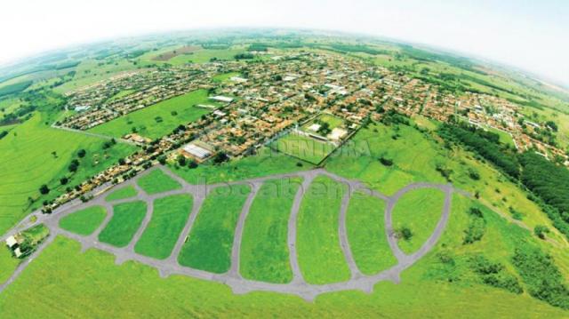 Terreno à venda em Joaquim jose soares, Palestina cod:V11174 - Foto 14