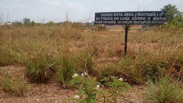 Terrenos - Foto 3