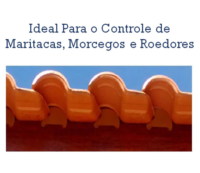 Passarinheiras Anti Maritacas Metalicas ? Pacotes 10 Metros - Foto 4