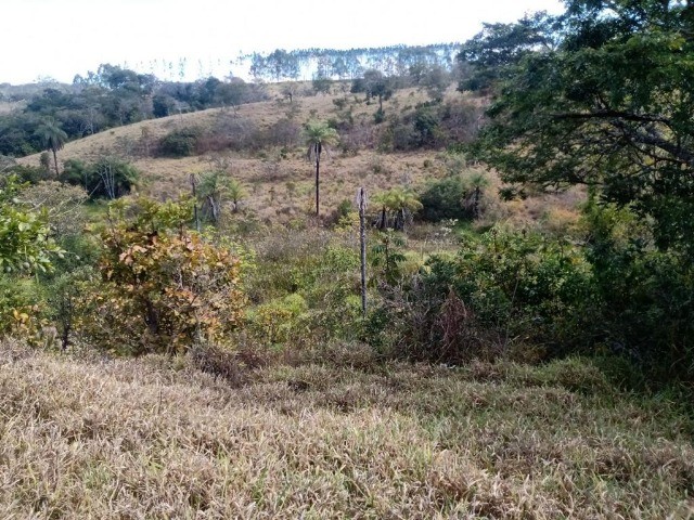 29ha de terra boa todo formado em branquearao Baldim - Foto 2