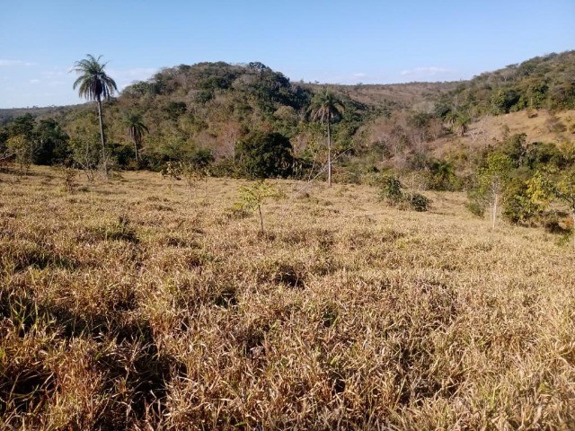 29ha de terra boa todo formado em branquearao Baldim - Foto 4