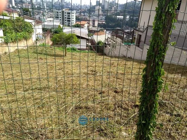 Terreno no Salgado Filho - Foto 5