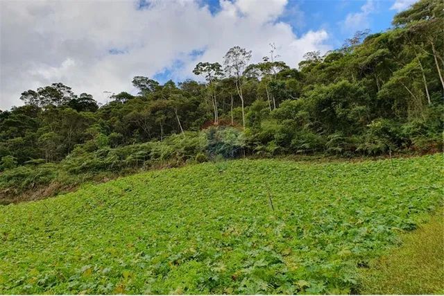 TERRENO EM ÁREA RURAL RECANTO VERDE DONA MARIANA - Foto 2