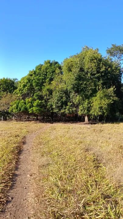 Chacara em Anapolis Chácara à Venda, 67920 por R$ 1.500.000 AD22598 - Foto 14