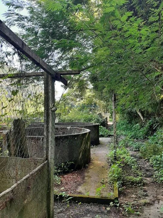 Vargem Pequena | Sítio - Foto 5