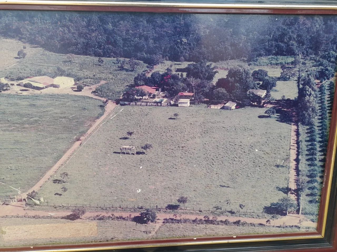 Chácara DF 2 hectares Café sem troco