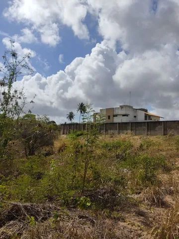 Vendo  terreno em Candelária - Foto 4