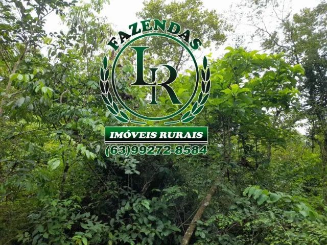 Chácara 5.5 Alqueires Beira do Rio Balsas - Foto 3