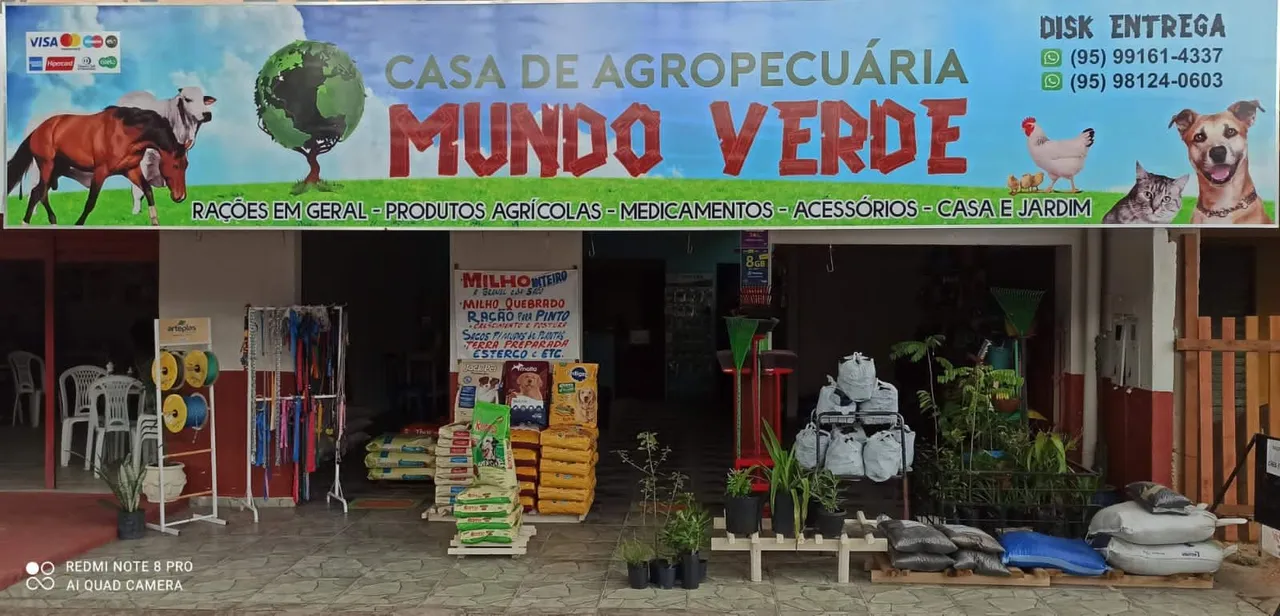 Aluguel de ponto comercial e casa: contato: *