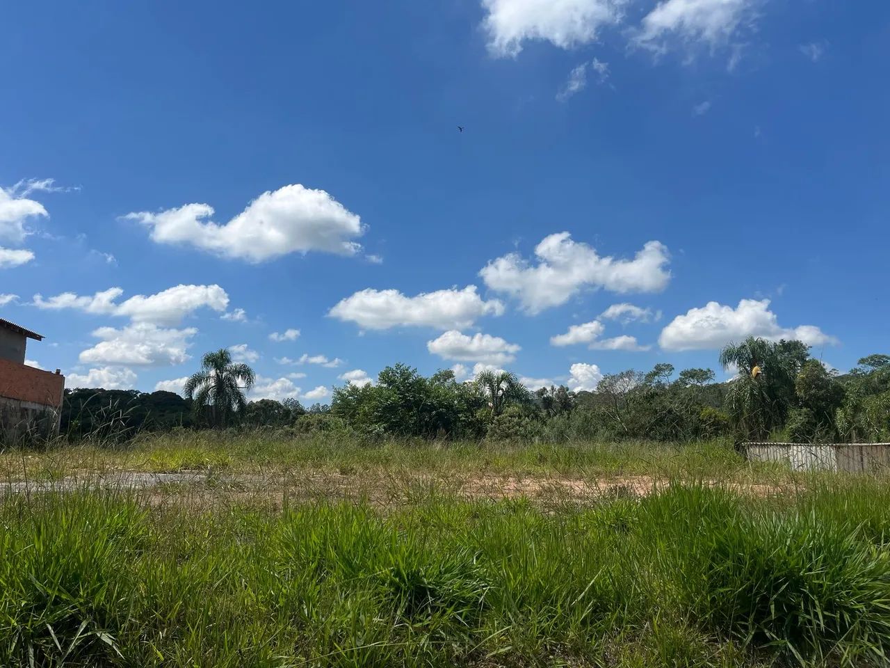 Terreno murado e com  terraplanagem - Foto 4