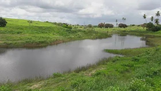 Fazenda com 170 hectares na região de monte alegre - Foto 5