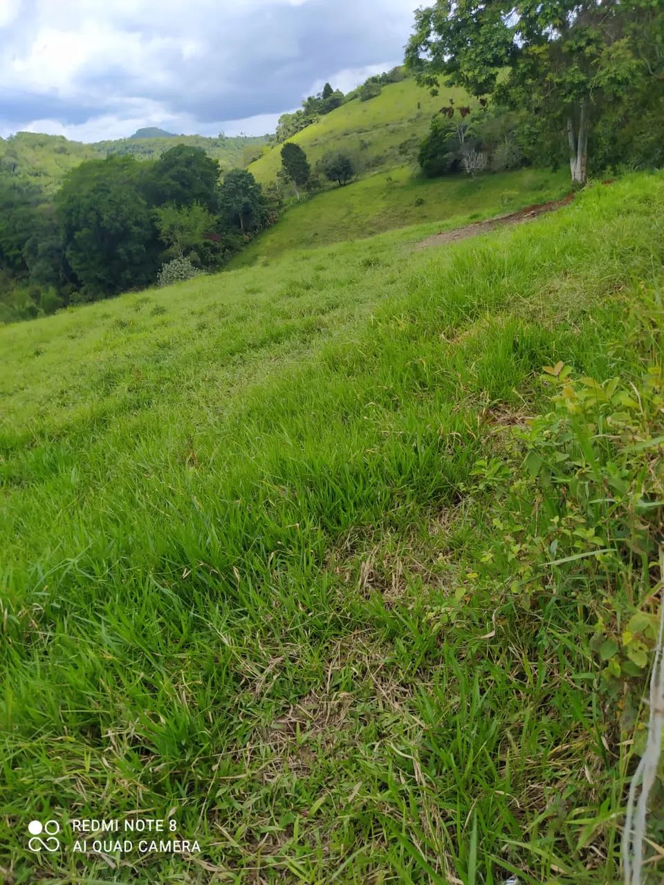 Fazenda em Teolandia