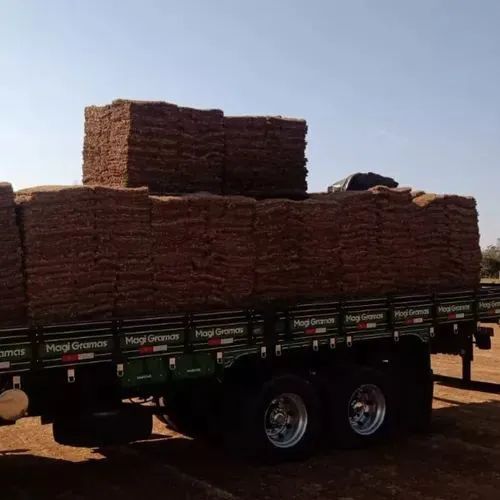 Grama esmeralda 6m2 mais frete mínimo pra entrega 100 mts Direto de Itapetininga  - Foto 3