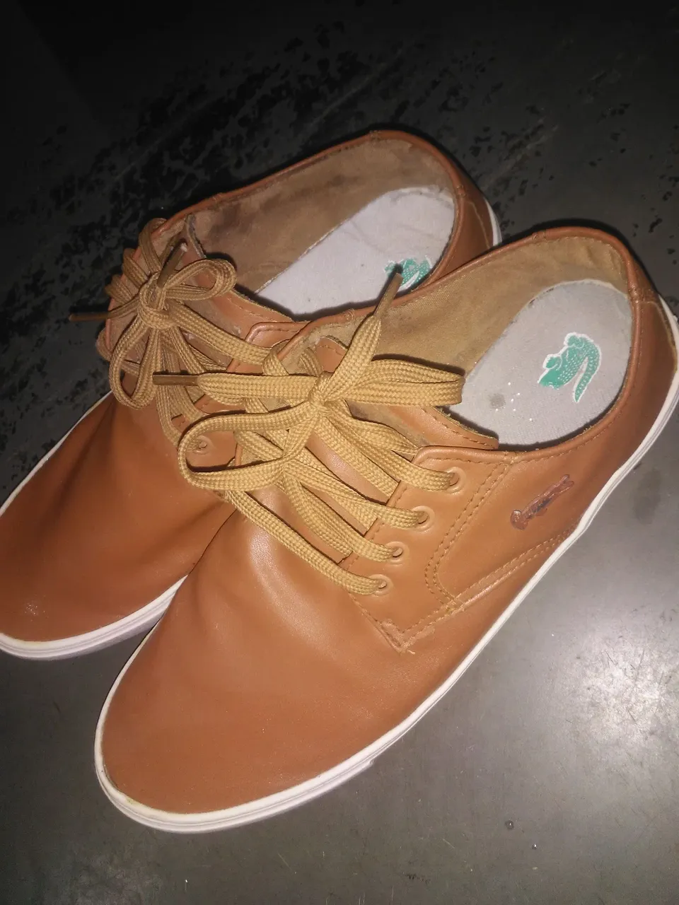 Tênis Casual Marrom Lacoste