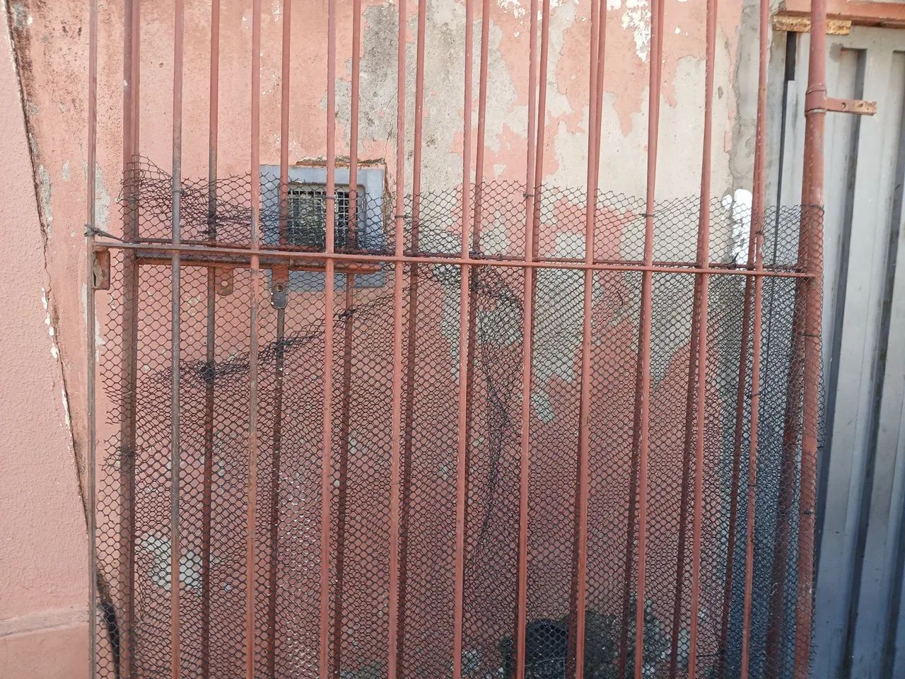 Portão de ferro reforçado64198290748161123