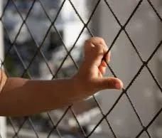 Rede de proteção - Foto 3