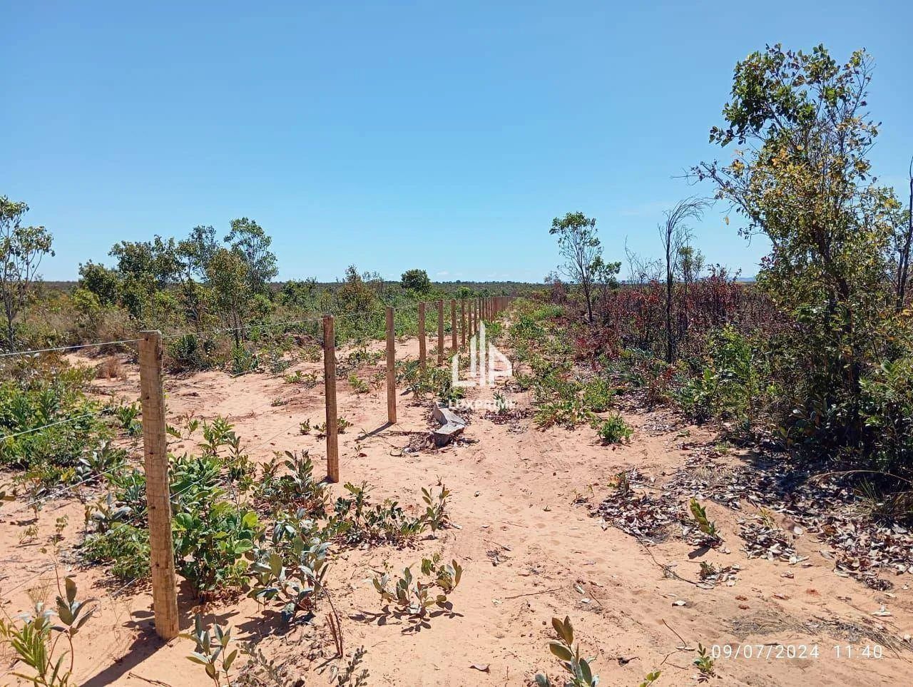 FAZENDA A R$ 17.000,00 o alqueire (dá lavoura) - Foto 2