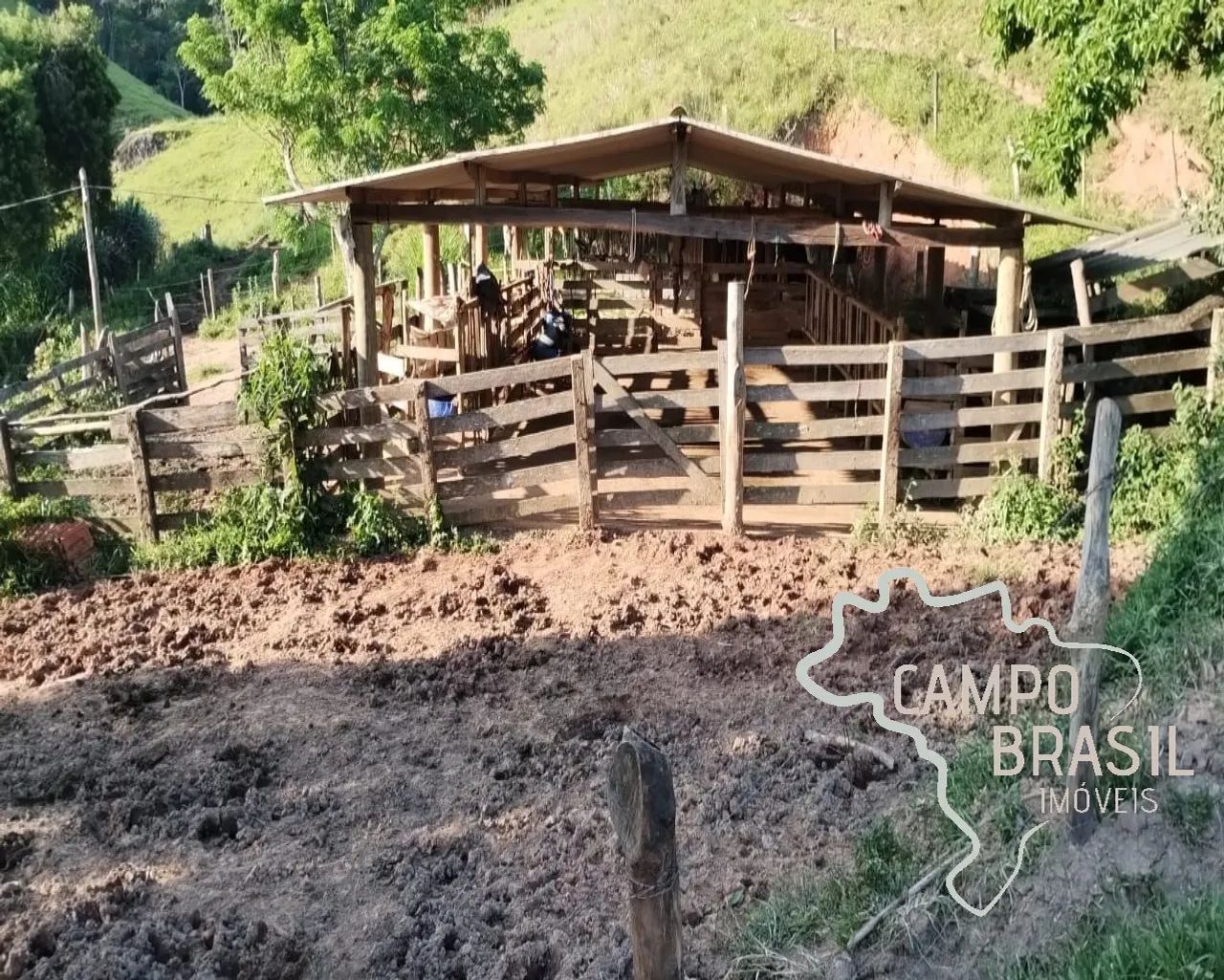 SÍTIO 23 ALQUEIRES EM TAUBATÉ ! - Foto 4