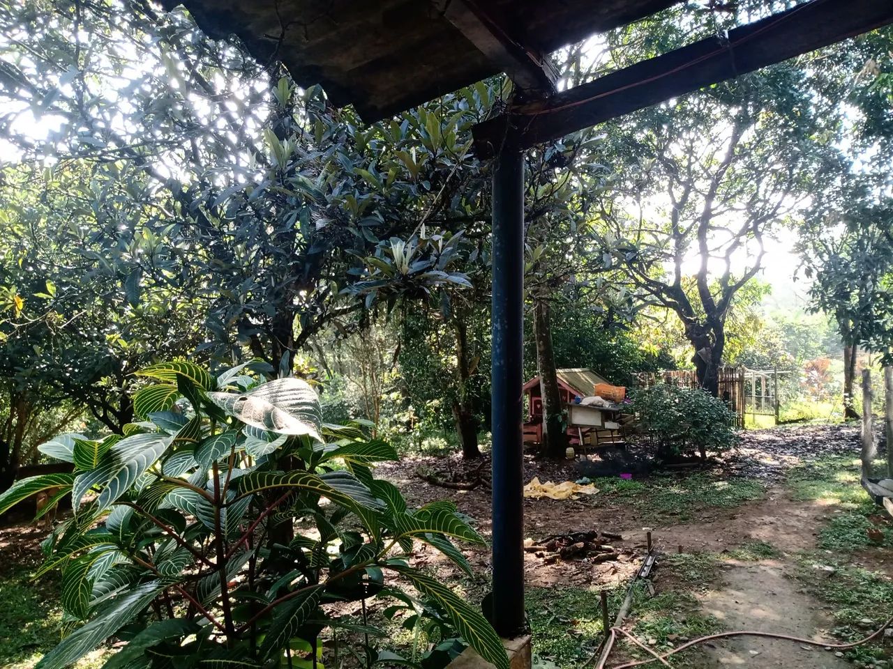 Vendo outro troco por casa - Foto 2