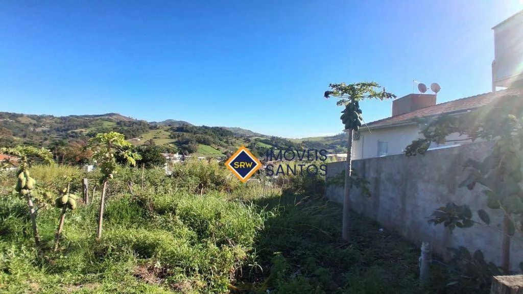 TERRENO PLANO COM 250 m² - MONTE ALEGRE DO SUL - Foto 5