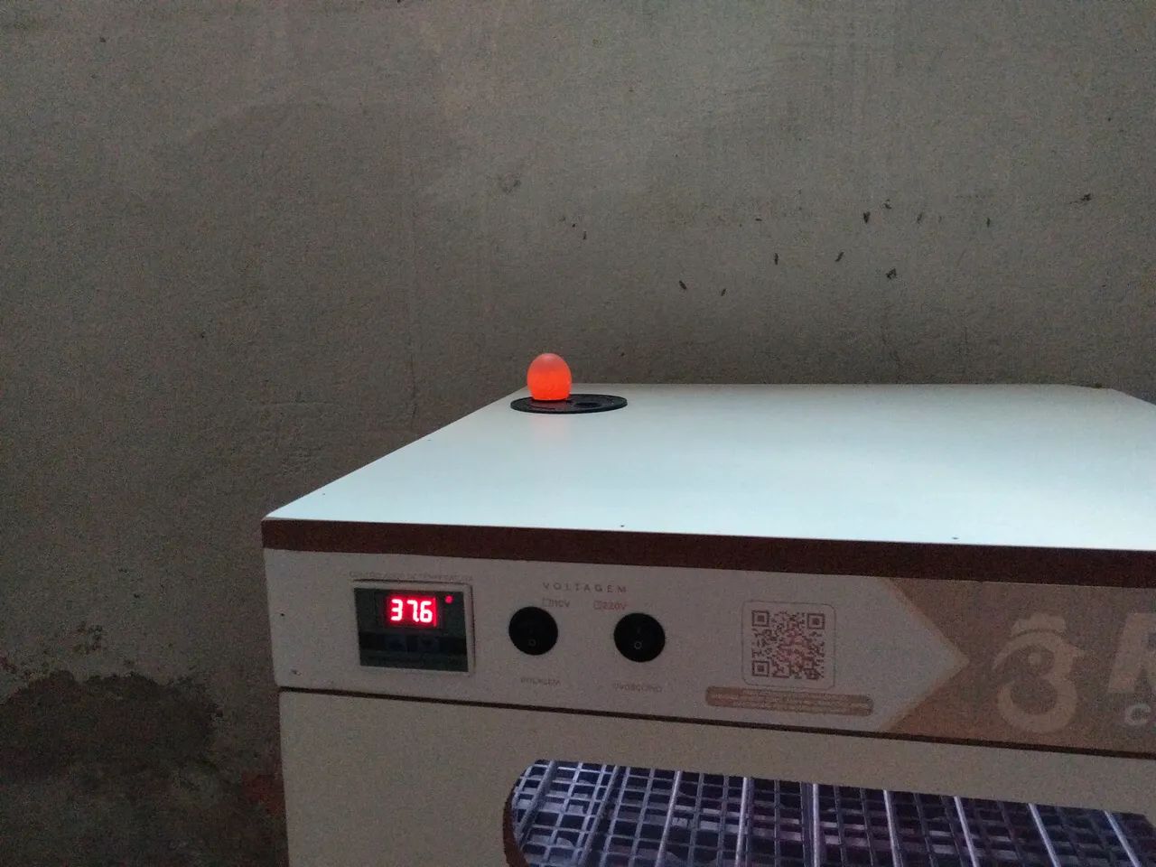 Chocadeira automática  - Foto 2