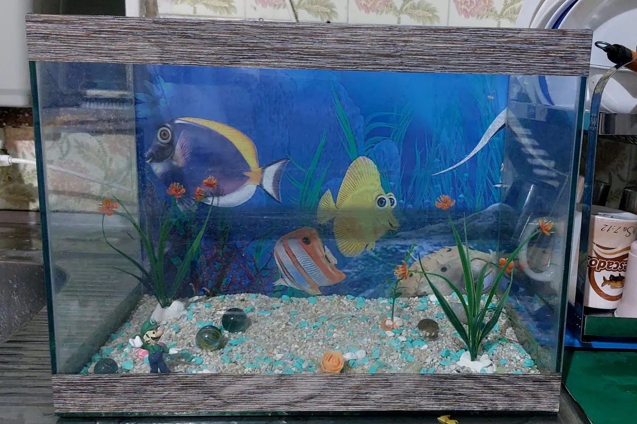 Aquario - Foto 3