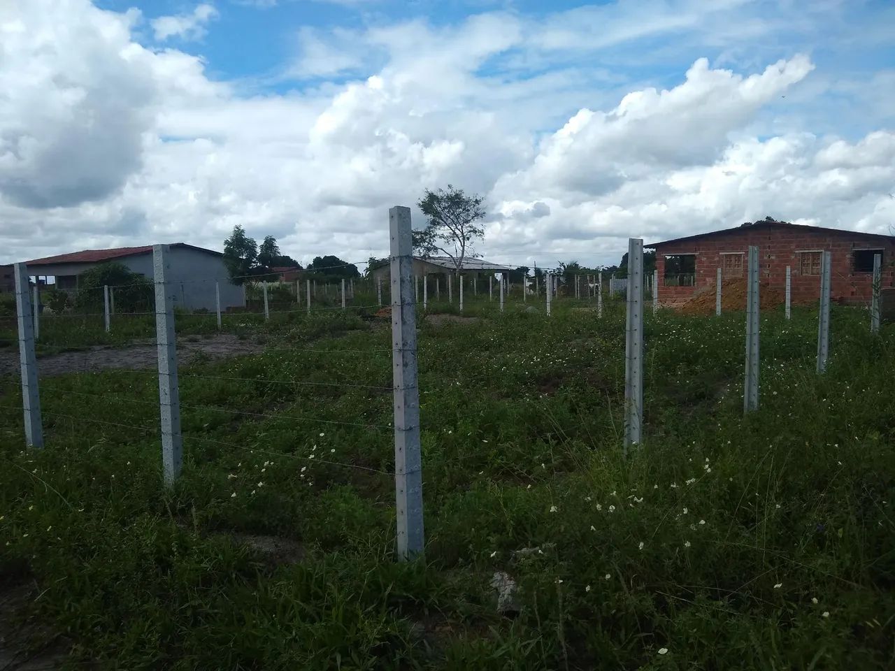 Terreno São Severino do Ramo - Paudalho. - Foto 5