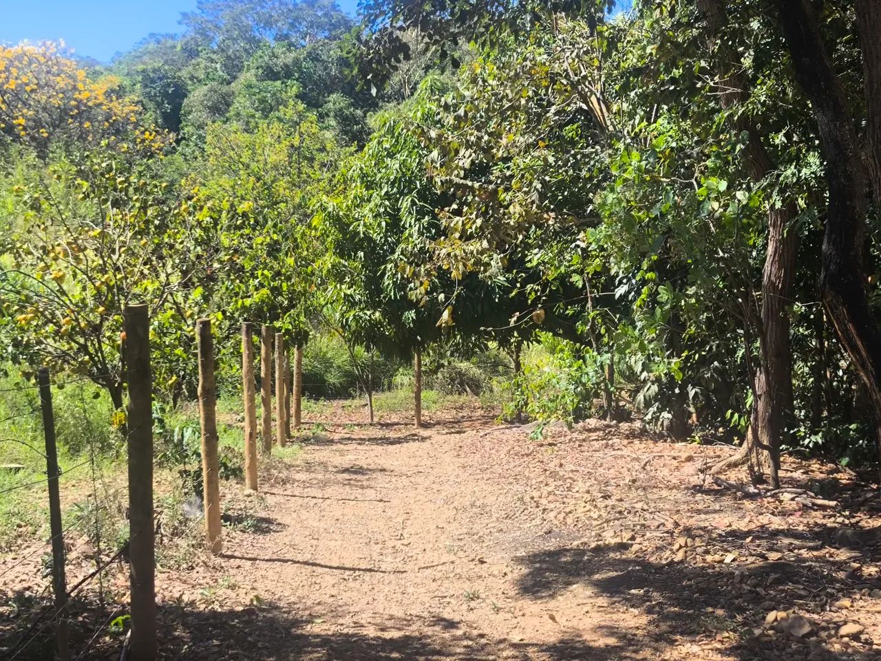 Chácara região de Pirenópolis  - Foto 3