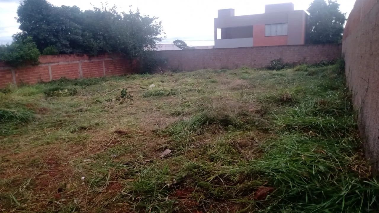 Foto - Brasília - Asa Norte