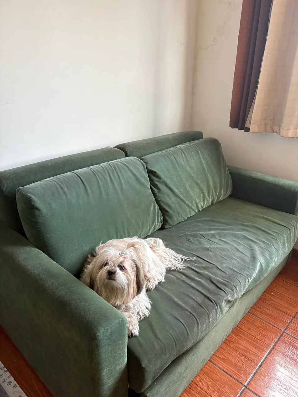 Sofá-Cama confortável