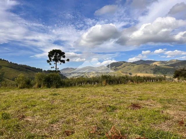 Belíssima Chácara de 5.000 m2 com platô de 3.500m2. Delfim Moreira MG