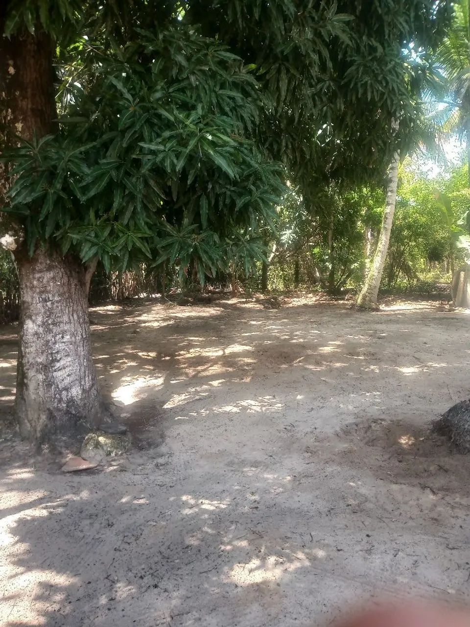 Vende-se um sítio com duas casas!
