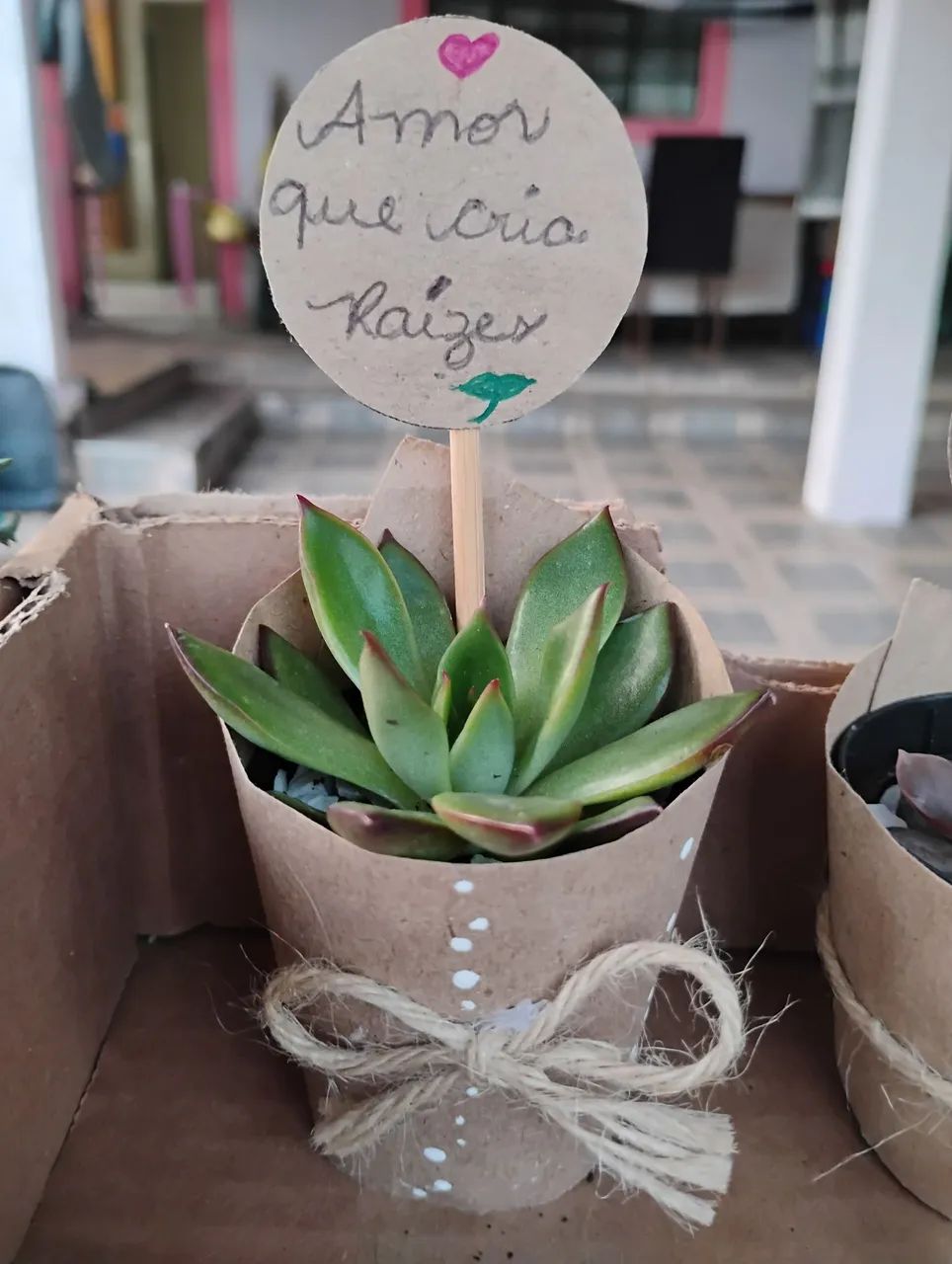 Coração que Cria ? - Foto 5