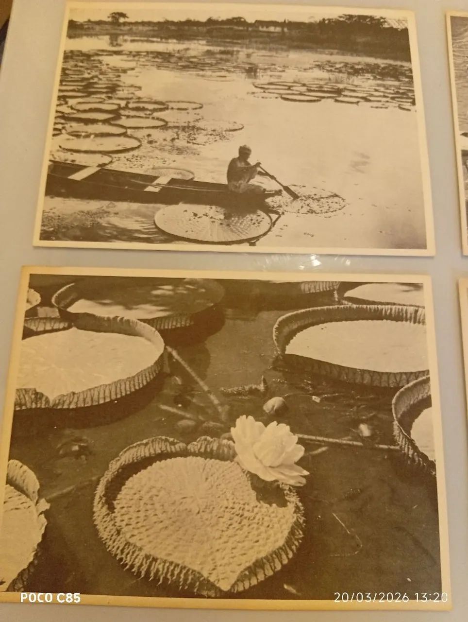 Conjunto de gravuras anos 50 - Foto 4