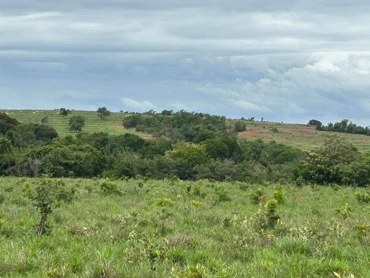 Fazenda a venda, em Tesouro - MT - Foto 4