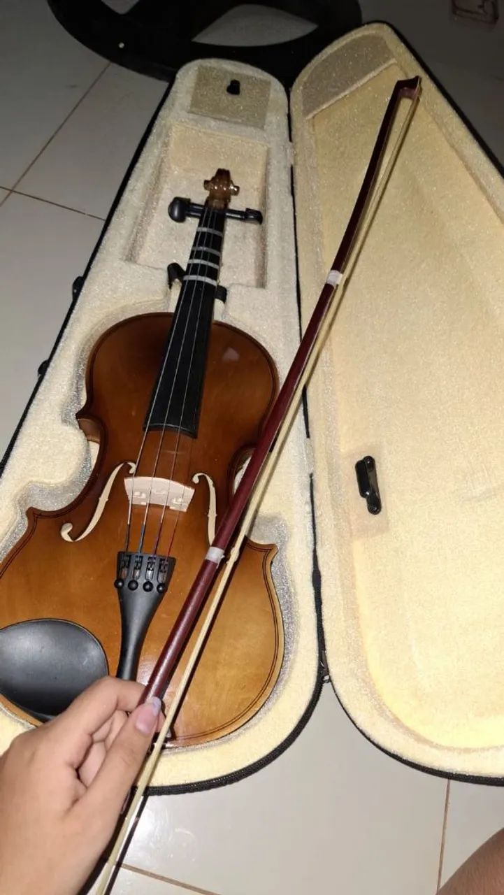 Violino