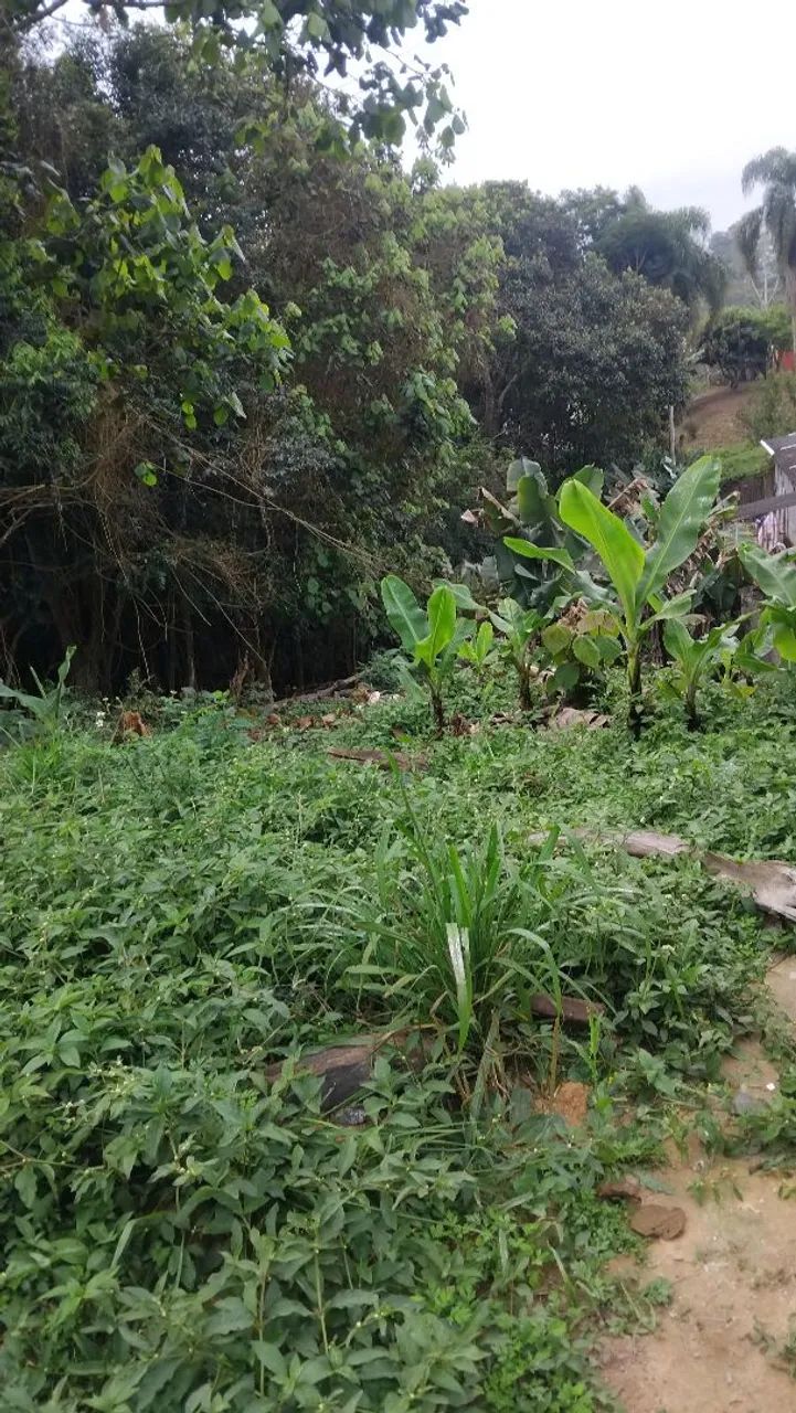 Terreno chacrinha - Foto 5