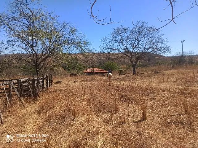 Fazenda 29 hectares | Jaborandi-BA / Coribe-BA - Foto 4