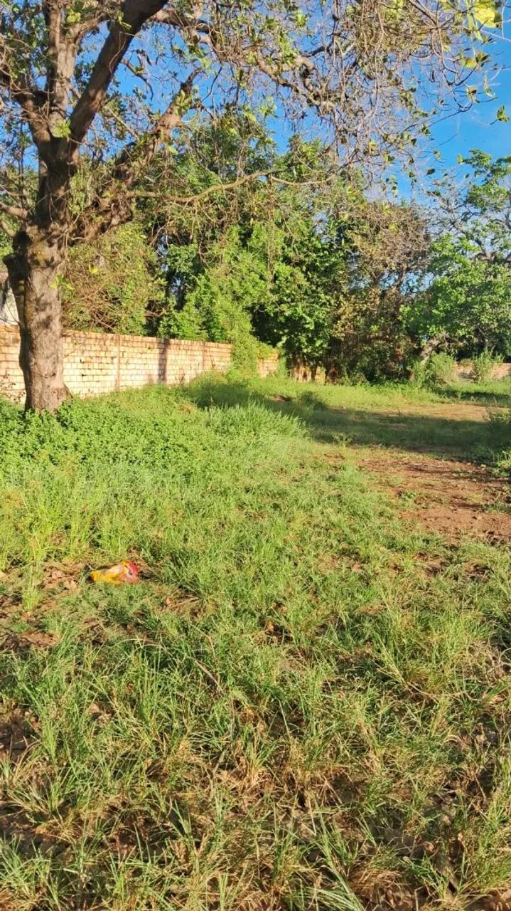 Terreno próximo orla do Maracanã  - Foto 3