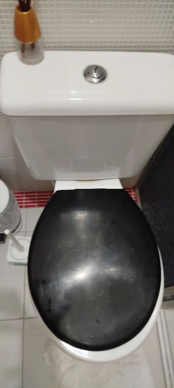 Logasa Toilet Bowl