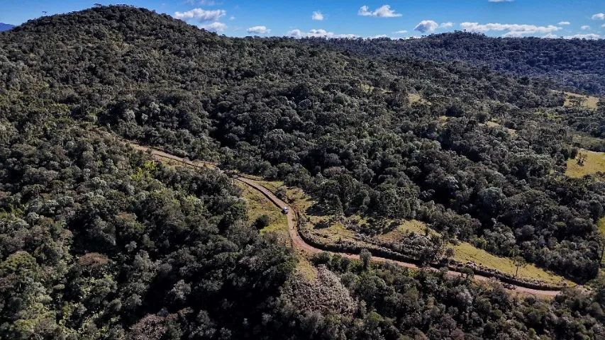 2 HECTARES - R$ 200.000,00 - Foto 5