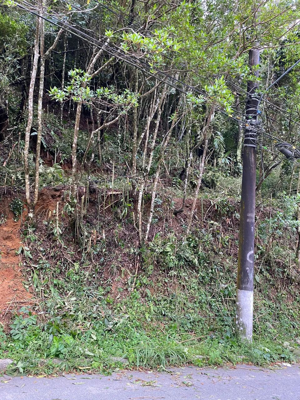 Terreno entrada DA SIMERIA  - Foto 4