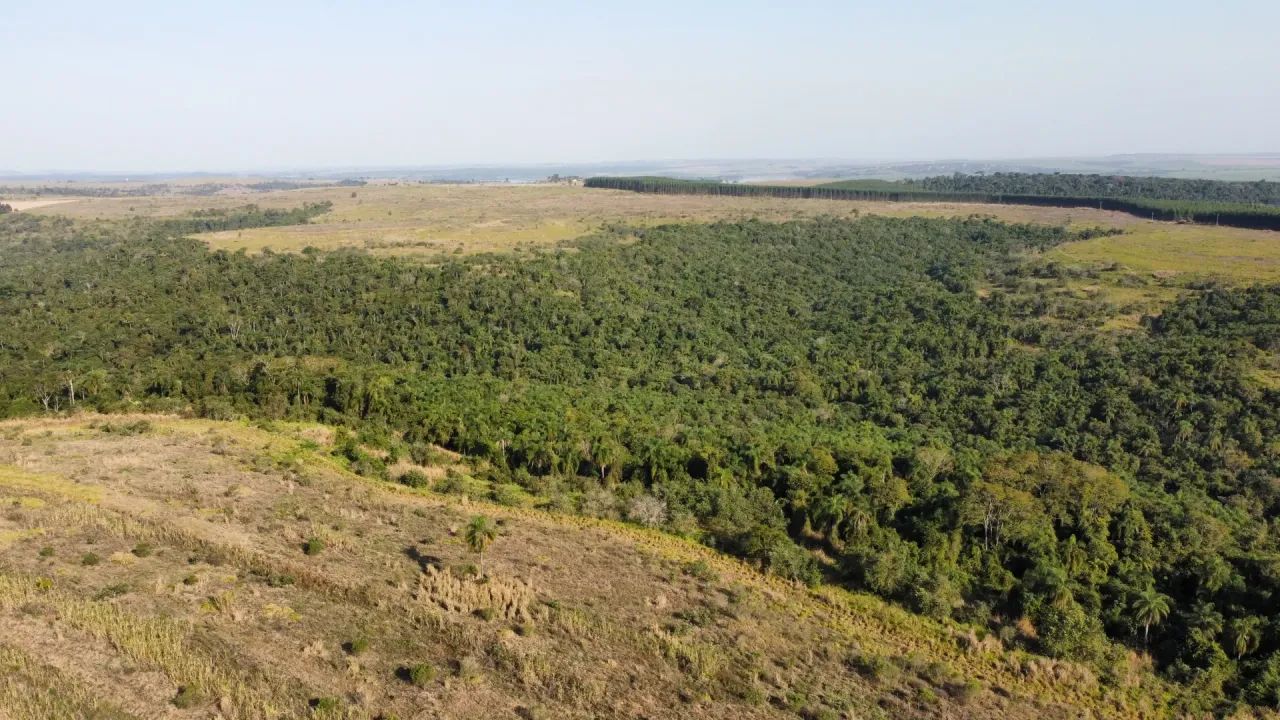 Fazenda  Santa Maria da Serra SP - Foto 3