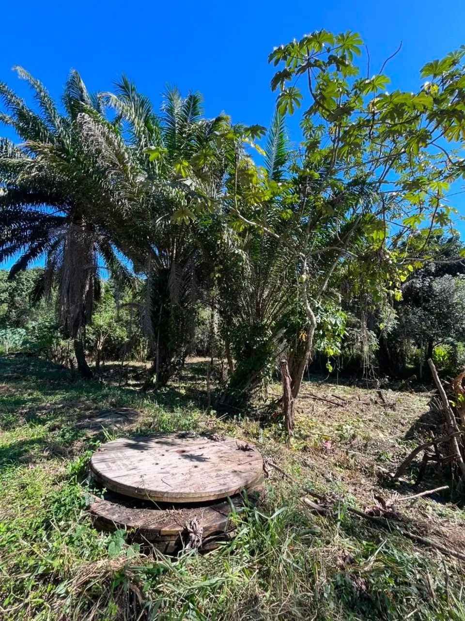 Vendo terreno em jardim primavera  - Foto 2