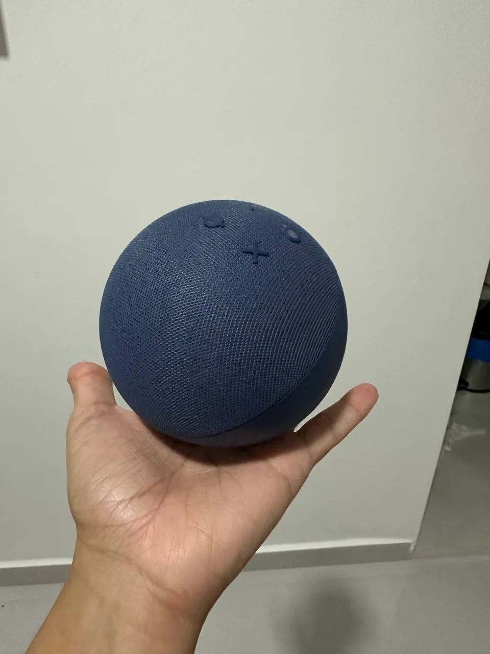 Alexa echo dot